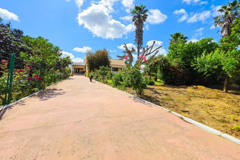 Farm hus i Palmela, Setubal, Palmela - € 588.000 | Ref: C0443-00530 - foto 36