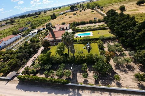 Farm hus i Palmela, Setubal, Palmela - € 588.000 | Ref: C0443-00530 - foto 39
