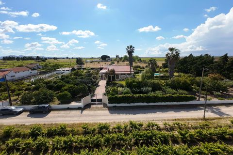 Farm hus i Palmela, Setubal, Palmela - € 588.000 | Ref: C0443-00530 - foto 40