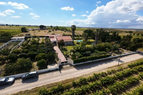 Farm hus i Palmela, Setubal, Palmela - € 588.000 | Ref: C0443-00530 - foto 42