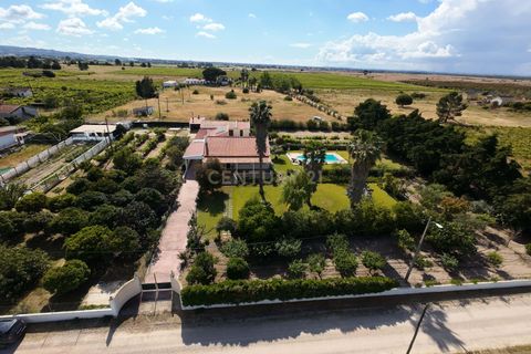 Farm hus i Palmela, Setubal, Palmela - € 588.000 | Ref: C0443-00530 - foto 43
