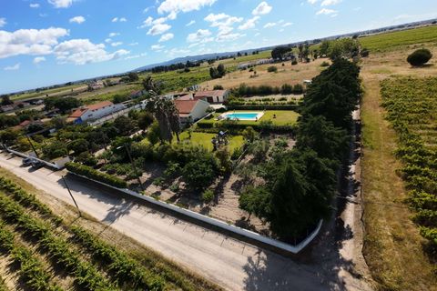 Farm hus i Palmela, Setubal, Palmela - € 588.000 | Ref: C0443-00530 - foto 47