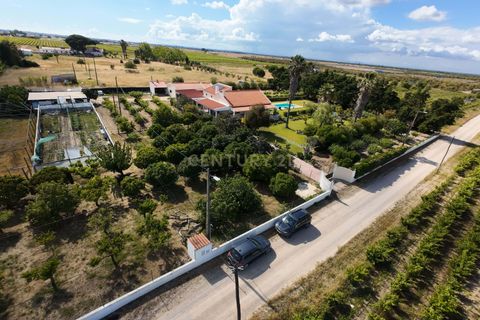 Farm hus i Palmela, Setubal, Palmela - € 588.000 | Ref: C0443-00530 - foto 48