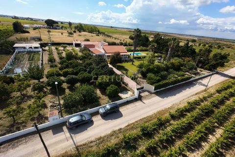 Farm hus i Palmela, Setubal, Palmela - € 588.000 | Ref: C0443-00530 - foto 49