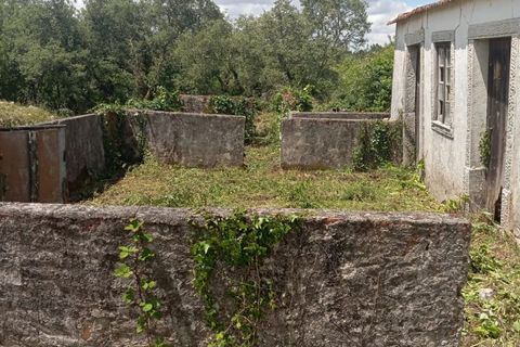 Helårsgrund i Ansiao, Leiria, Ansiao - € 60.000 | Ref: SV 01ANSIAO 26 - foto 4