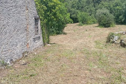 Helårsgrund i Ansiao, Leiria, Ansiao - € 60.000 | Ref: SV 01ANSIAO 26 - foto 5