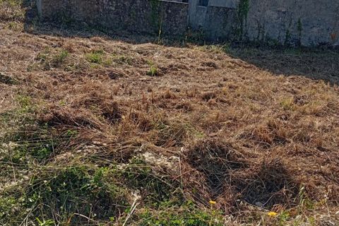 Helårsgrund i Ansiao, Leiria, Ansiao - € 60.000 | Ref: SV 01ANSIAO 26 - foto 6