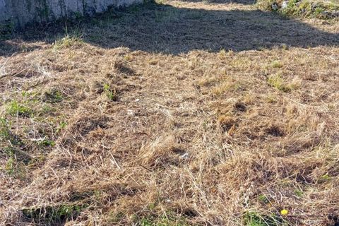 Helårsgrund i Ansiao, Leiria, Ansiao - € 60.000 | Ref: SV 01ANSIAO 26 - foto 7