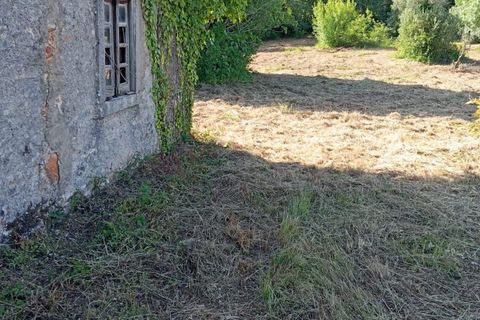 Helårsgrund i Ansiao, Leiria, Ansiao - € 60.000 | Ref: SV 01ANSIAO 26 - foto 8