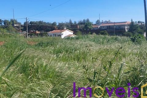 Villa i Ourique, Beja, Ourique - € 230.000 | Ref: TE- 2026 / MTCGO - foto 27