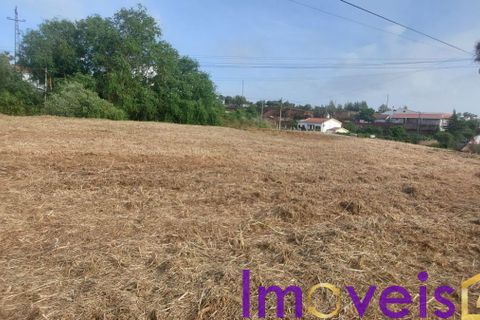 Villa i Ourique, Beja, Ourique - € 230.000 | Ref: TE- 2026 / MTCGO - foto 34