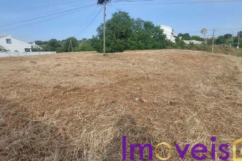 Villa i Ourique, Beja, Ourique - € 230.000 | Ref: TE- 2026 / MTCGO - foto 36