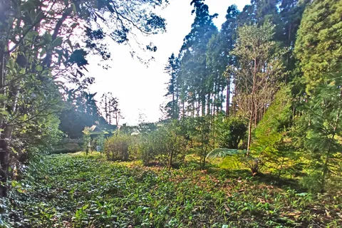 Landejendom i Horta, Faial, Horta - € 80.000 | Ref: 84115 - foto 9