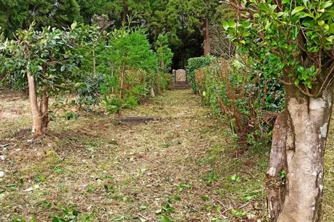 Landejendom i Horta, Faial, Horta - € 80.000 | Ref: 84115 - foto 29