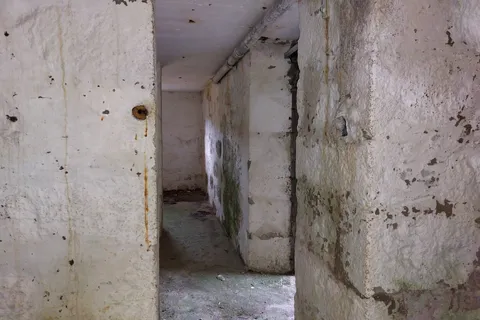 Landejendom i Horta, Faial, Horta - € 80.000 | Ref: 84115 - foto 33