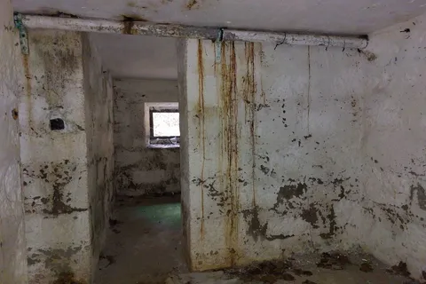Landejendom i Horta, Faial, Horta - € 80.000 | Ref: 84115 - foto 34