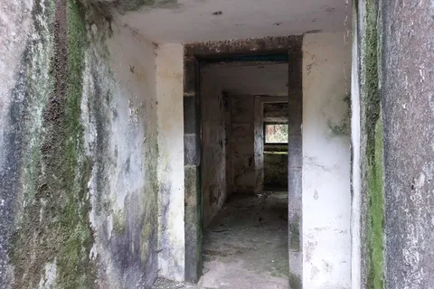 Landejendom i Horta, Faial, Horta - € 80.000 | Ref: 84115 - foto 36