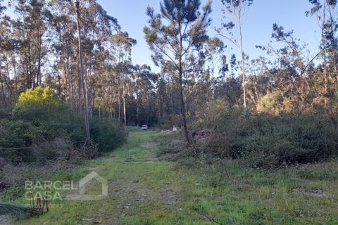 Erhvervsejendom i Vila Cha, Braga, Vila Cha - € 106.000 | Ref: 134/26 - foto 4