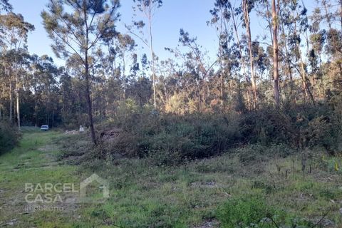 Erhvervsejendom i Vila Cha, Braga, Vila Cha - € 106.000 | Ref: 134/26 - foto 5