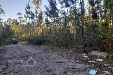 Erhvervsejendom i Vila Cha, Braga, Vila Cha - € 106.000 | Ref: 134/26 - foto 6