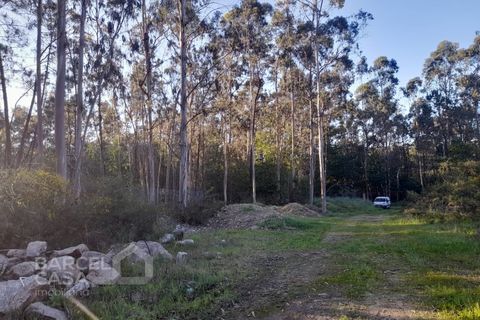 Erhvervsejendom i Vila Cha, Braga, Vila Cha - € 106.000 | Ref: 134/26 - foto 7