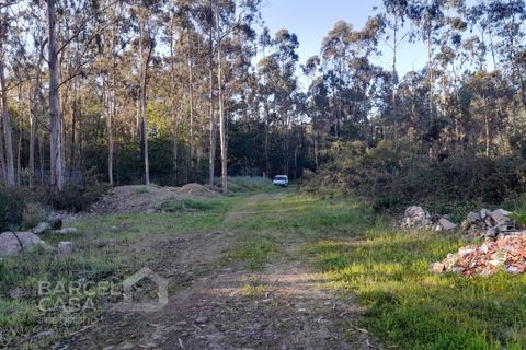 Erhvervsejendom i Vila Cha, Braga, Vila Cha - € 106.000 | Ref: 134/26 - foto 8