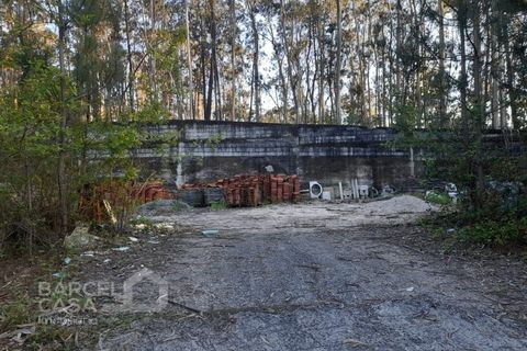Erhvervsejendom i Vila Cha, Braga, Vila Cha - € 106.000 | Ref: 134/26 - foto 10