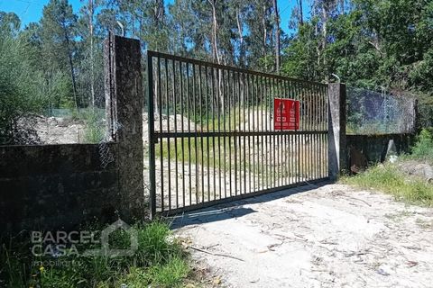 Erhvervsejendom i Vila Cha, Braga, Vila Cha - € 106.000 | Ref: 134/26 - foto 12