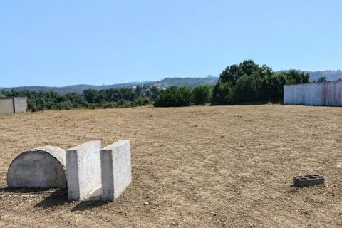 Terra a Freixianda, Santarem, Freixianda - € 49.000 | Ref: SF-SAFTI:008311 - foto 3