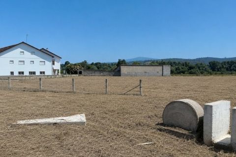 Terra a Freixianda, Santarem, Freixianda - € 49.000 | Ref: SF-SAFTI:008311 - foto 4