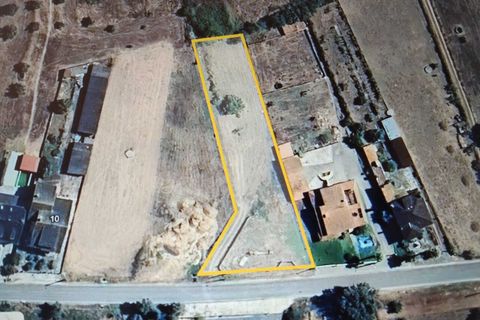 Terra a Freixianda, Santarem, Freixianda - € 49.000 | Ref: SF-SAFTI:008311 - foto 5