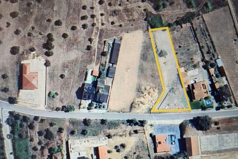 Terra a Freixianda, Santarem, Freixianda - € 49.000 | Ref: SF-SAFTI:008311 - foto 6