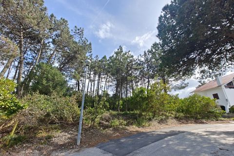 Helårsgrund i Vau, Leiria, Vau - € 335.000 | Ref: BL1368 - foto 3