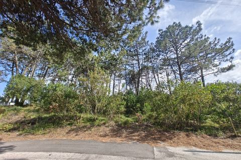 Helårsgrund i Vau, Leiria, Vau - € 335.000 | Ref: BL1368 - foto 4