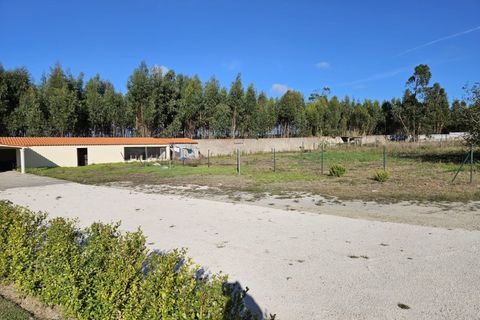Villa i Santo Onofre e Serra do Bouro, Leiria, Santo Onofre e Serra do Bouro - € 695 000 | Ref: BL1156 - foto 21