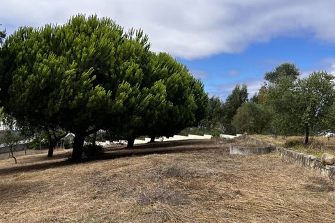 Villa i Santo Onofre e Serra do Bouro, Leiria, Santo Onofre e Serra do Bouro - € 695 000 | Ref: BL1156 - foto 27