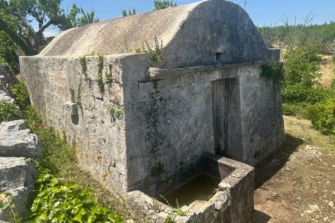 Villa i Ostuni, Brindisi, Ostuni - € 65.000 | Ref: 950 - foto 7