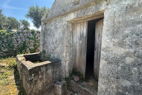 Villa i Ostuni, Brindisi, Ostuni - € 65.000 | Ref: 950 - foto 8