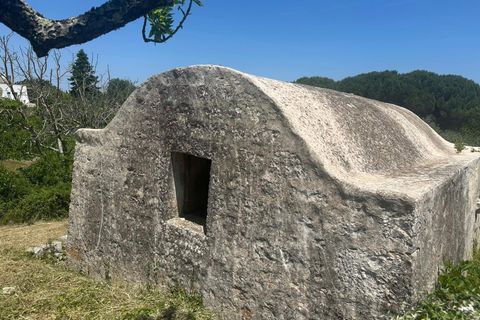 Villa i Ostuni, Brindisi, Ostuni - € 65.000 | Ref: 950 - foto 11