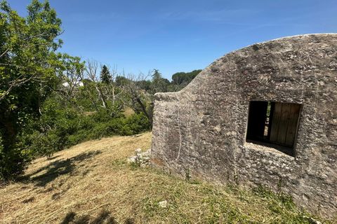 Villa i Ostuni, Brindisi, Ostuni - € 65.000 | Ref: 950 - foto 13