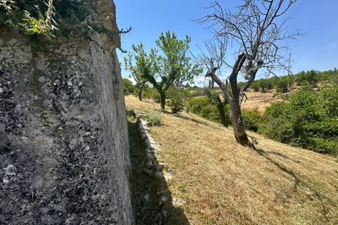 Villa i Ostuni, Brindisi, Ostuni - € 65.000 | Ref: 950 - foto 19