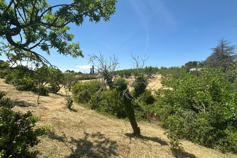 Villa i Ostuni, Brindisi, Ostuni - € 65.000 | Ref: 950 - foto 21