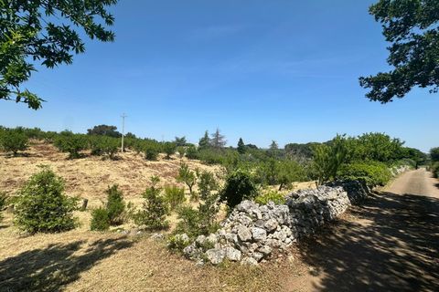 Villa i Ostuni, Brindisi, Ostuni - € 65.000 | Ref: 950 - foto 22
