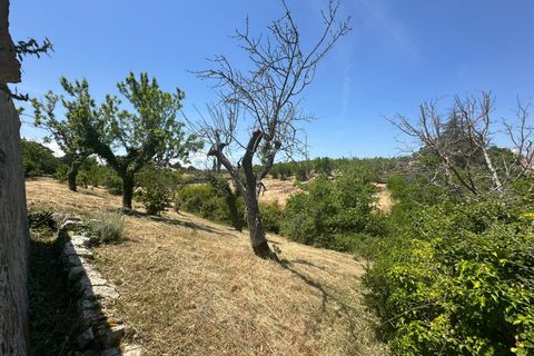 Villa i Ostuni, Brindisi, Ostuni - € 65.000 | Ref: 950 - foto 23