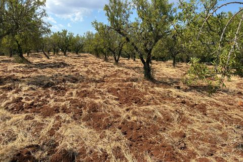 Villa i Ostuni, Brindisi, Ostuni - € 65.000 | Ref: 950 - foto 24