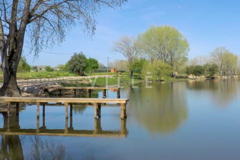 Villa a Agueda, Aveiro, Agueda - € 450.000 | Ref: AV2938 - foto 25