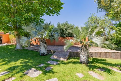 Villa a Boliqueime, Faro, Boliqueime - € 4.700.000 | Ref: MO14279 - foto 34