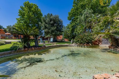 Villa a Boliqueime, Faro, Boliqueime - € 4.700.000 | Ref: MO14279 - foto 38