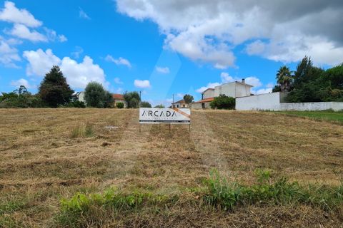 Helårsgrund i Macinhata do Vouga, Aveiro, Macinhata do Vouga - € 60.000 | Ref: 1060586/21 AL - foto 1