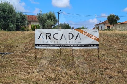 Helårsgrund i Macinhata do Vouga, Aveiro, Macinhata do Vouga - € 60.000 | Ref: 1060586/21 AL - foto 2